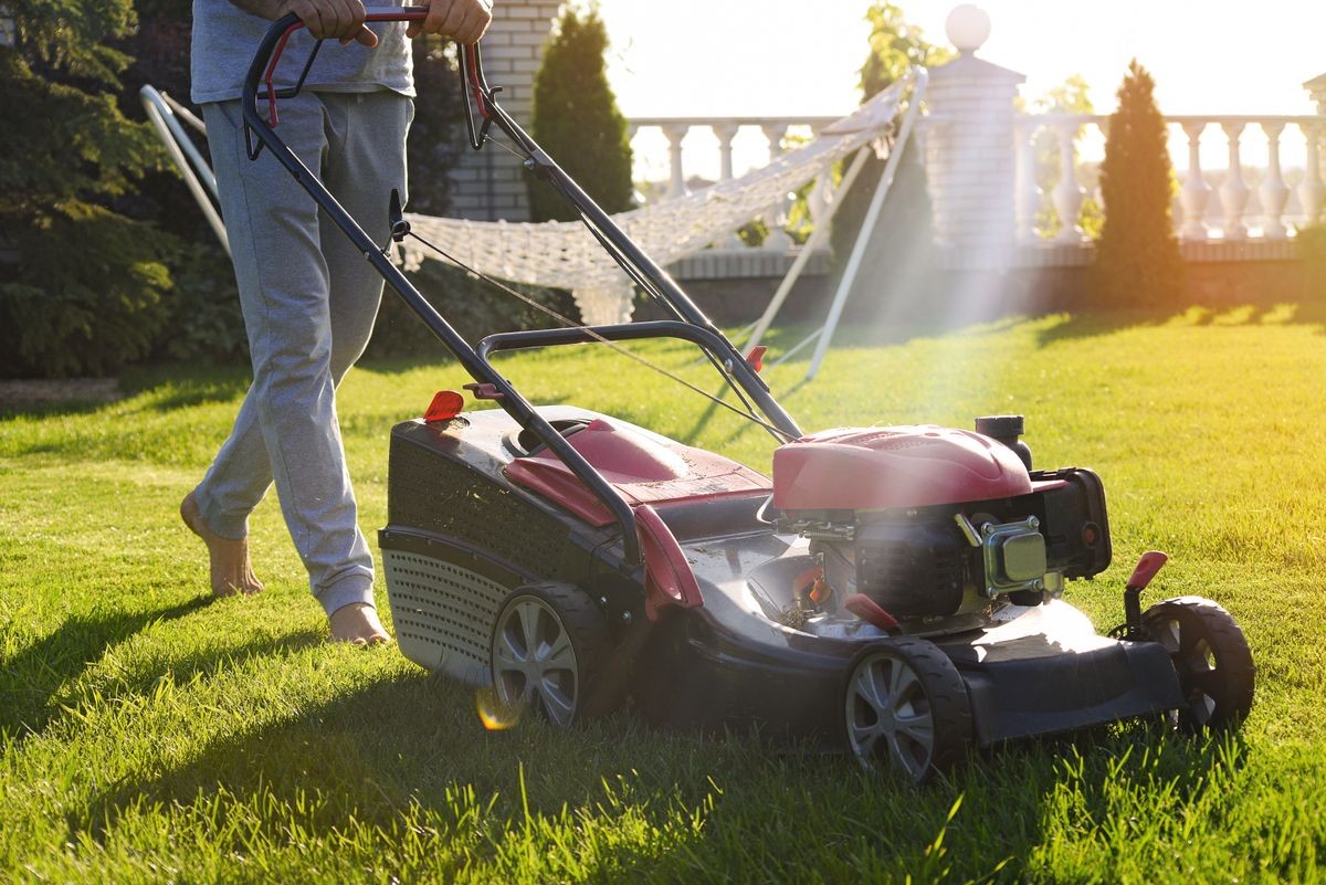 man with lawn mower cuts green grass in the garden on sunny day
